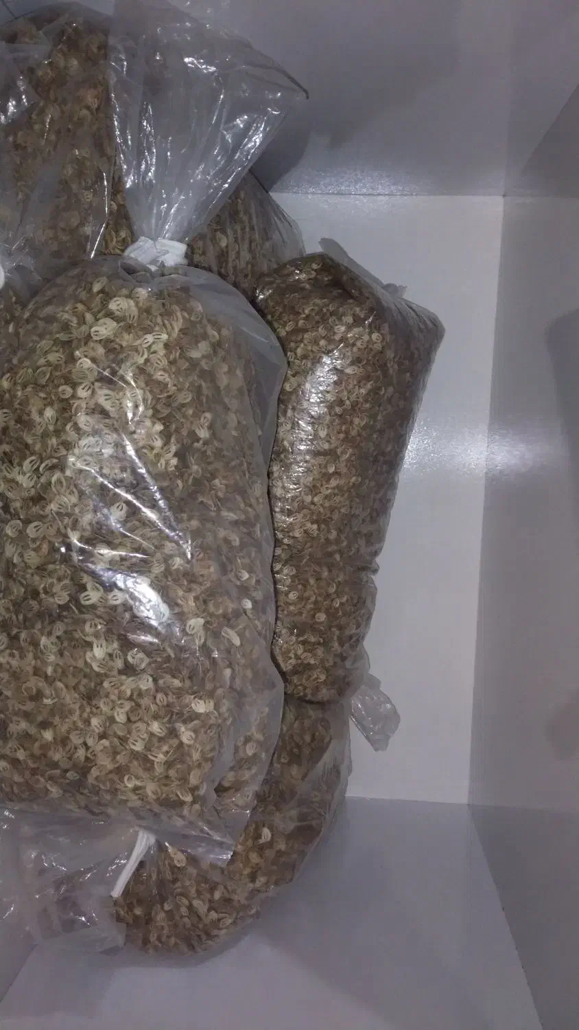 گلپر ارگانیک ییلاقی|خوردنی و آشامیدنی|رشت, حافظ آباد|دیوار