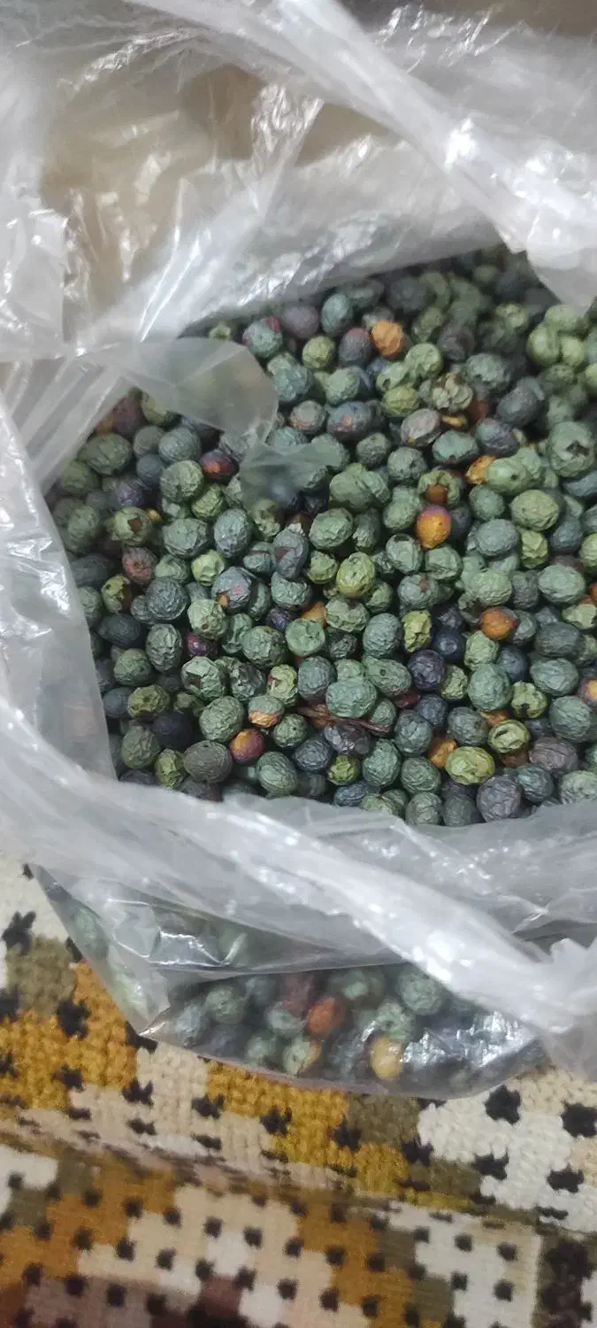 محصولات خانگی سرکه،آبغوره ،نعناع،بنه کوهی، رب انار|خوردنی و آشامیدنی|مشهد, رستگار|دیوار