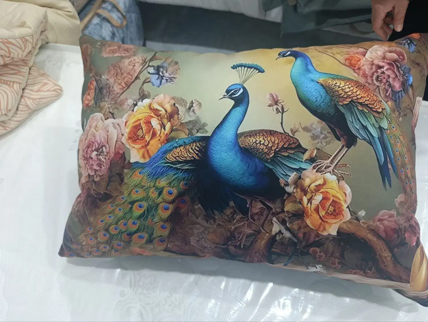 عرضه مستقیم پتو حذف واسطه|رختخواب، بالش، پتو|الوند, |دیوار