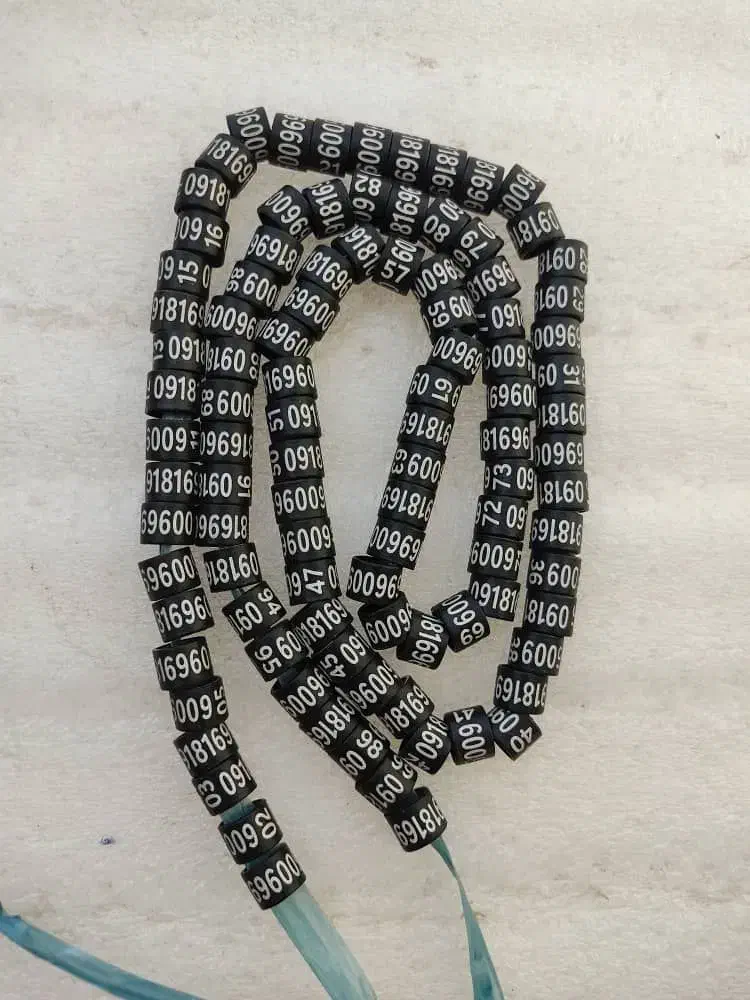 حلقه پلاک کبوتر. لیزری|لوازم جانبی حیوانات|احمدآبادمستوفی, |دیوار