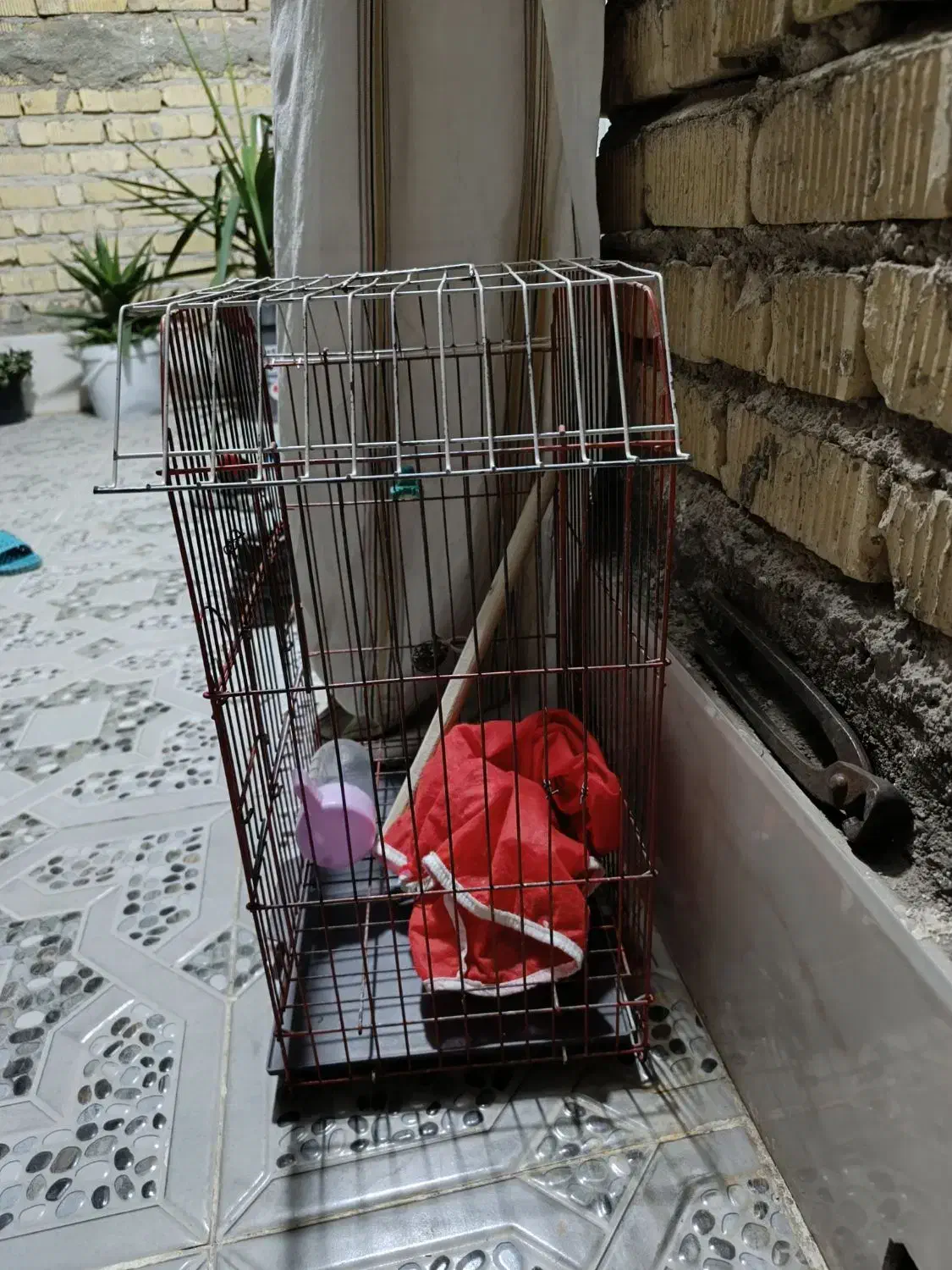 قفس عروس هلندی دست دوم|لوازم جانبی حیوانات|مرودشت, استادیوم‎|دیوار