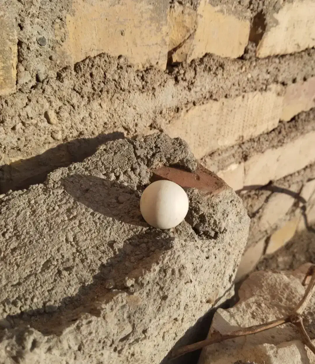 سنگ آسیاب قدمی|کلکسیون اشیاء عتیقه|قدس, معادن شن و ماسه|دیوار