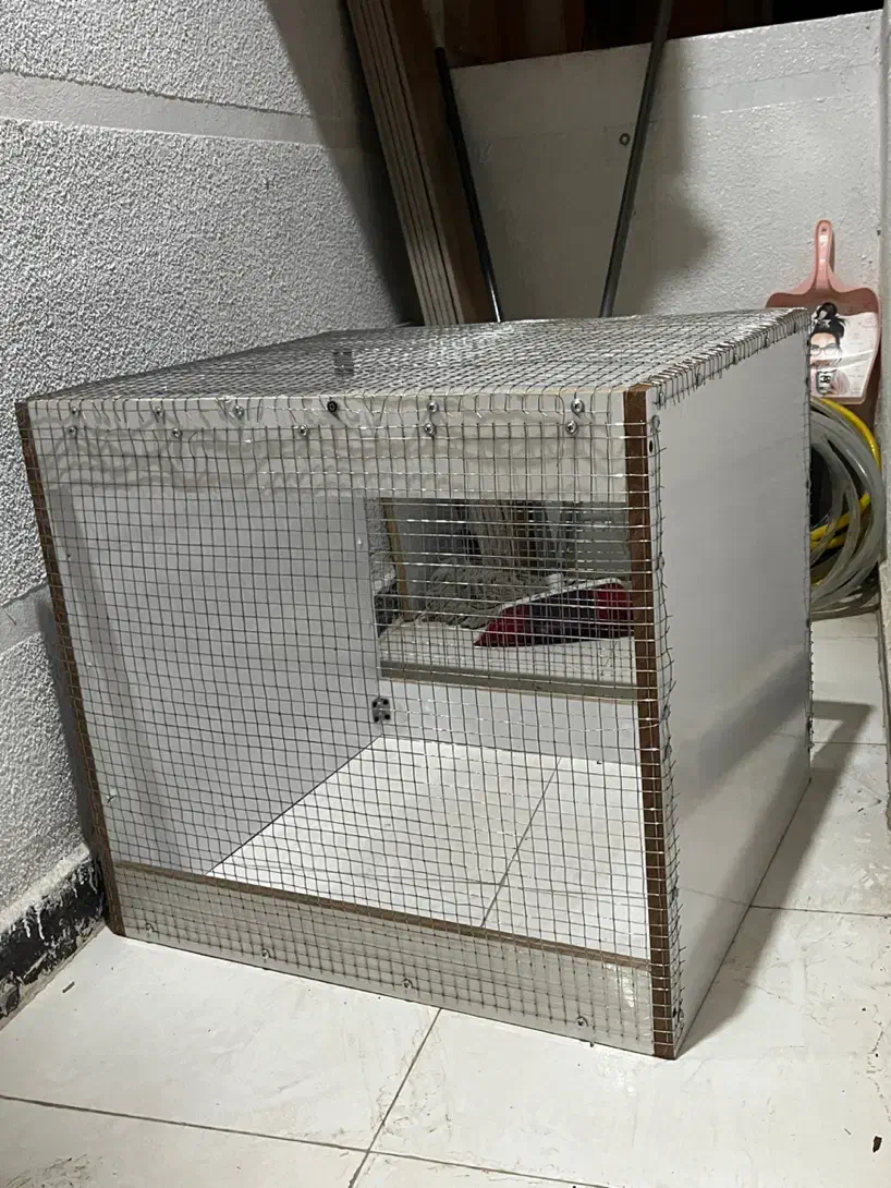 قفس مرغ یا پرنده|لوازم جانبی حیوانات|دوگنبدان, |دیوار