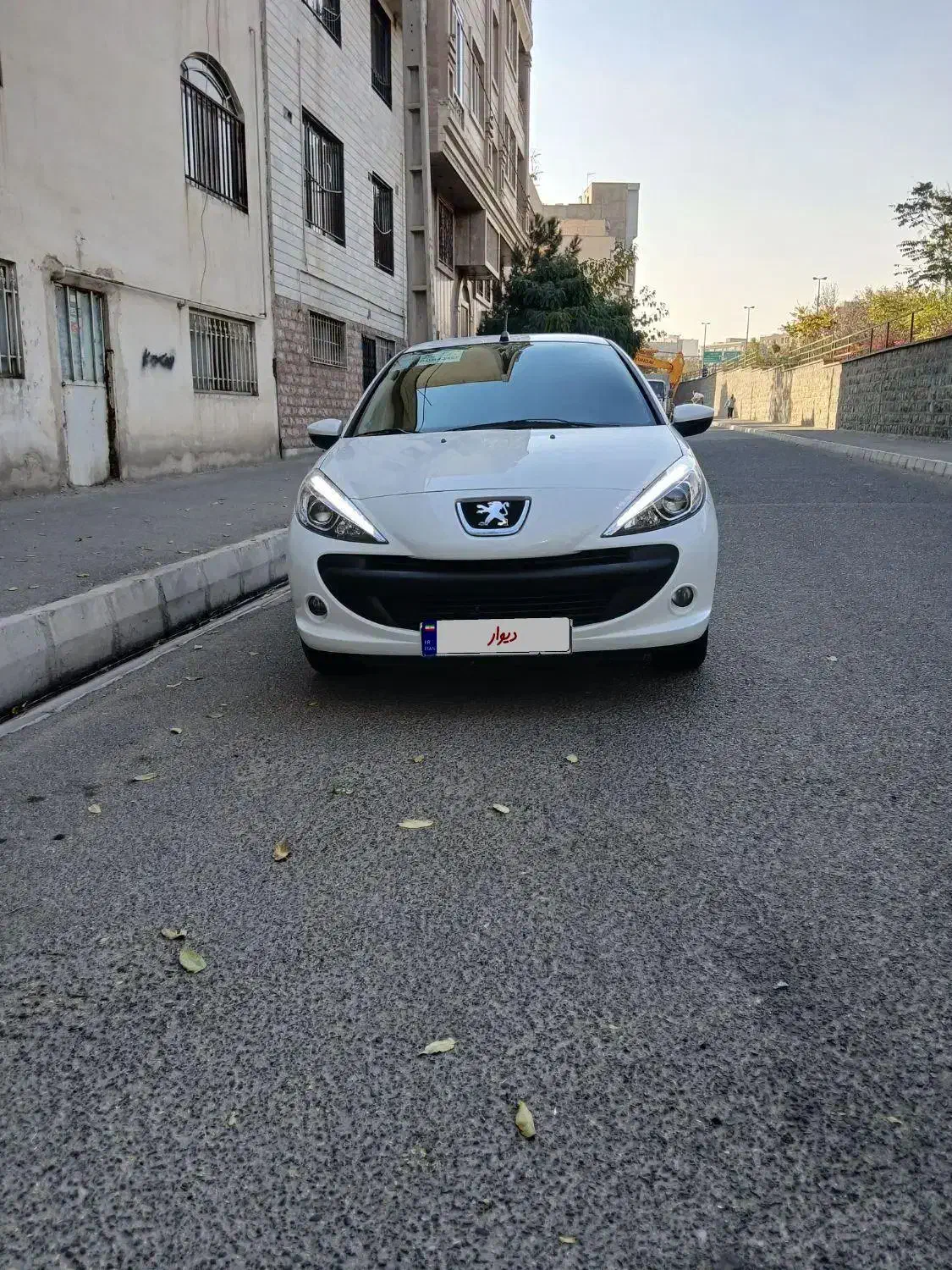 فروش ۲۰۷|خودرو سواری و وانت|تهران, سردارجنگل|دیوار