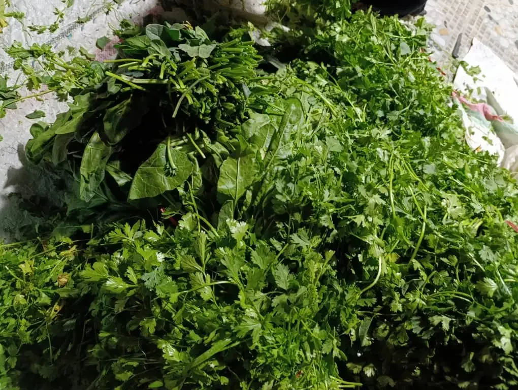 سبزی خورشتی تمیز کاملا بهداشتی سبزی رامهرمز ابوذر|خوردنی و آشامیدنی|رامهرمز, |دیوار