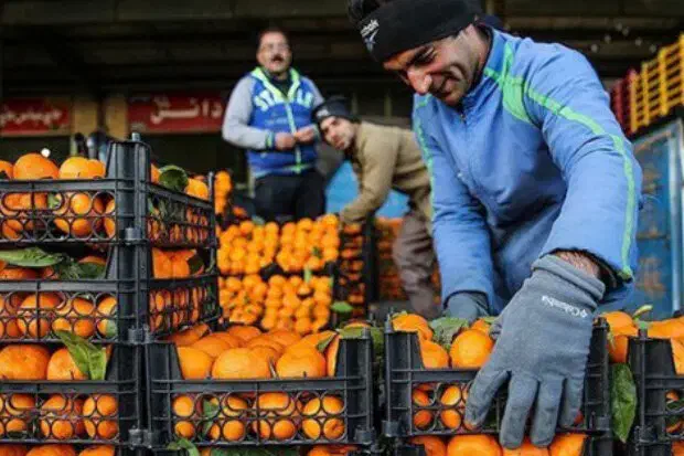 گارگر دارم هم برای میوه چینی|خدمات باغبانی و درختکاری|امامزاده عبدالله, |دیوار