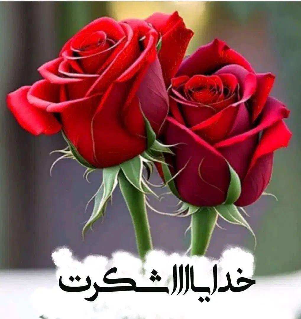 مغازه کارگاه|اجارهٔ مغازه و غرفه|یزد, |دیوار