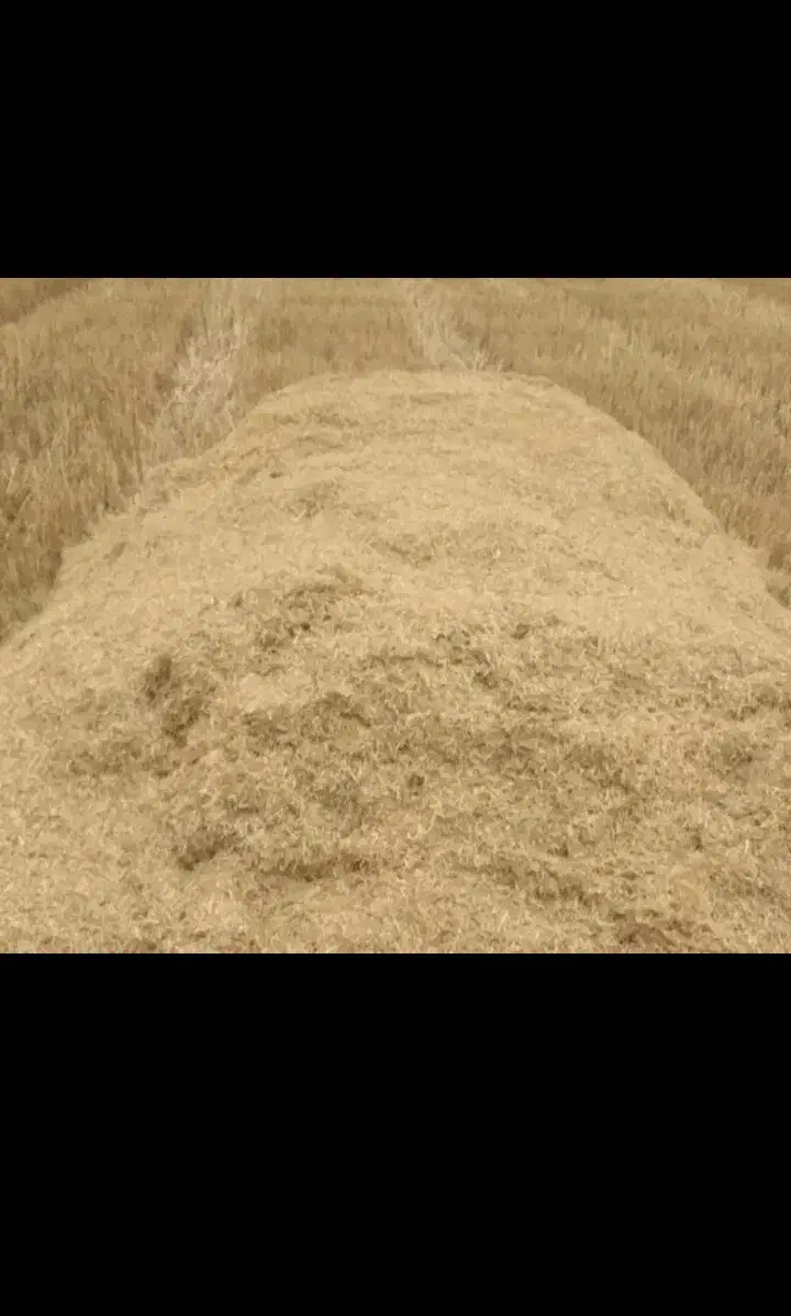 کاه جو دیم|لوازم جانبی حیوانات|سامن, |دیوار