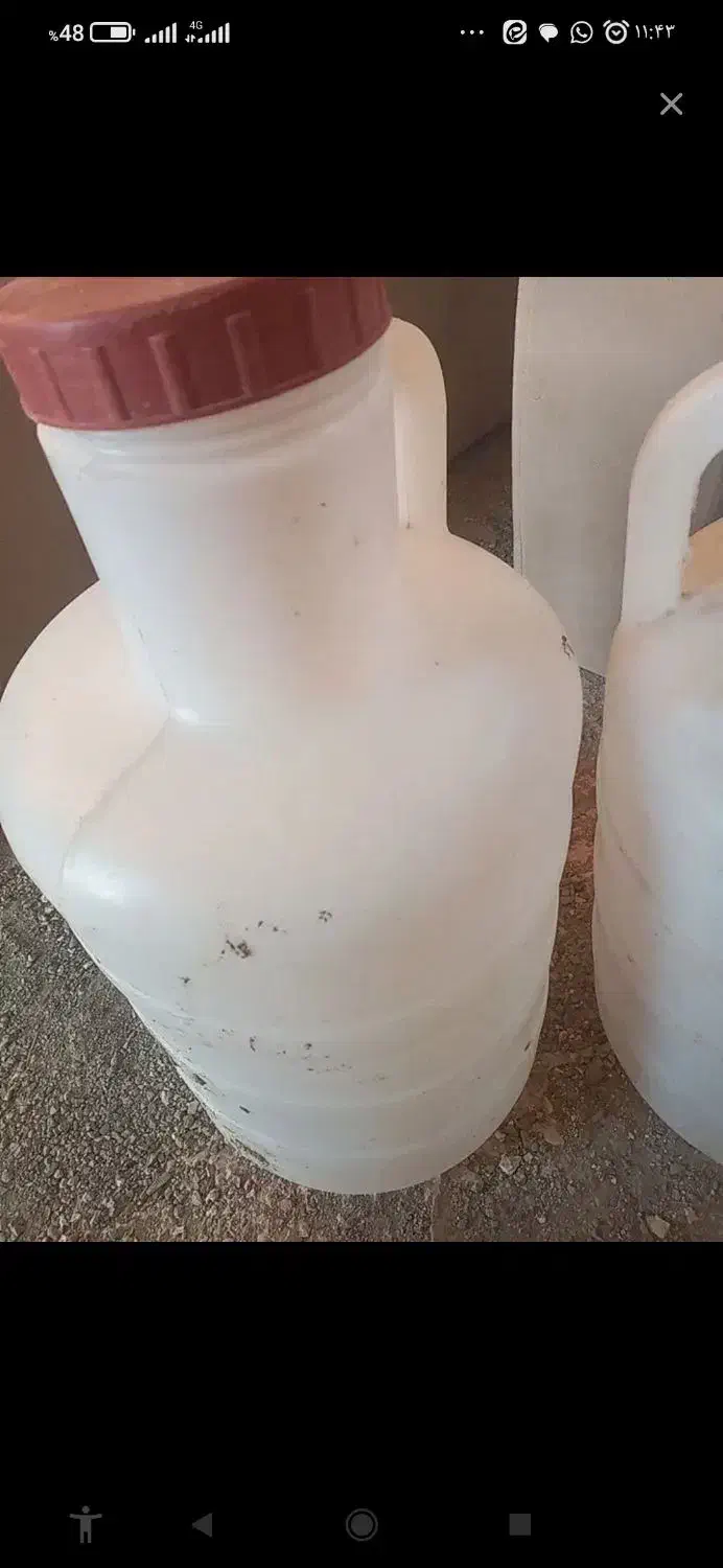 دبه خیارشور|ظروف نگهدارنده، پلاستیکی، یک‌بارمصرف|قزوین, |دیوار