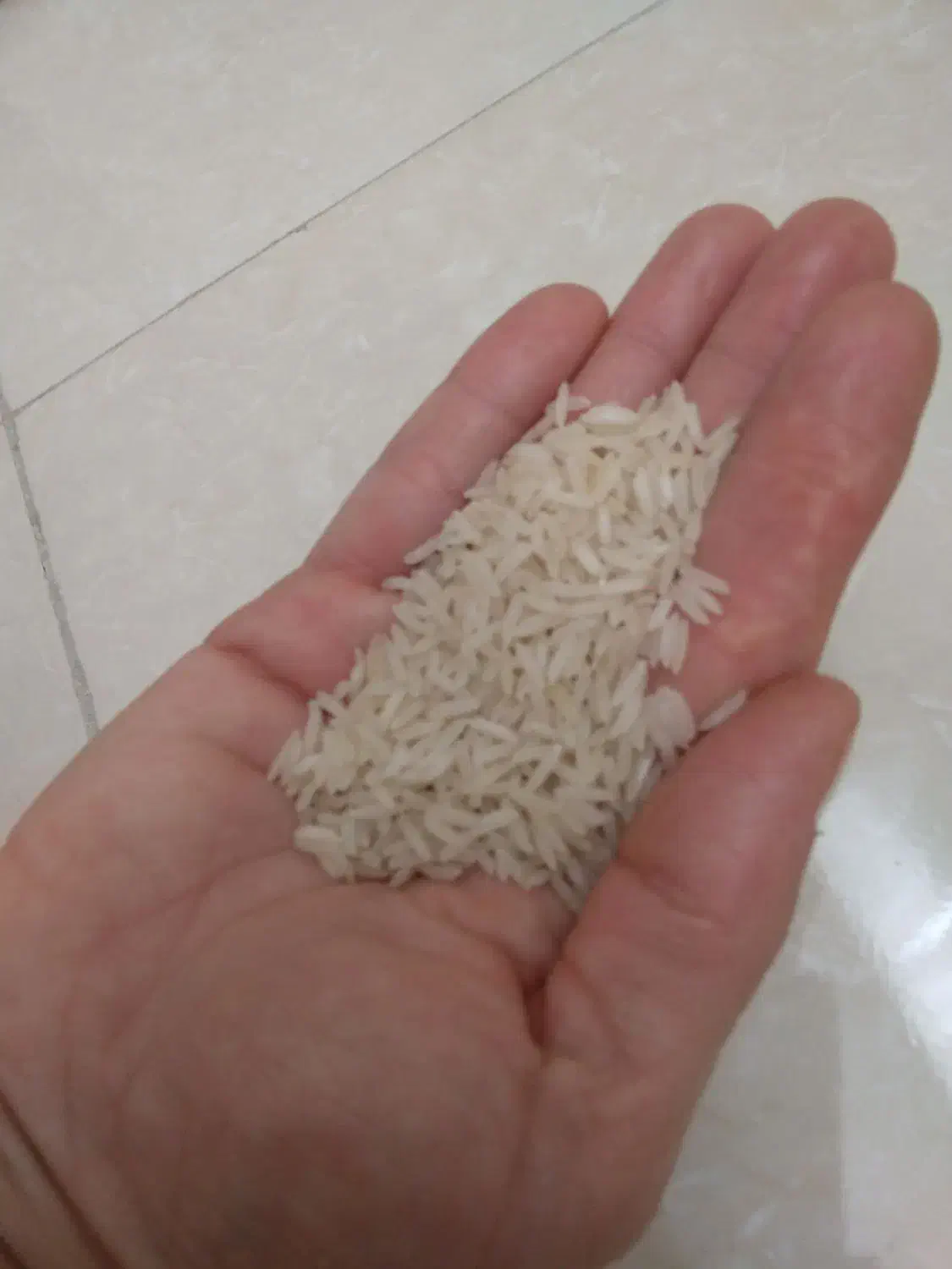 برنج بافکر علا به شرط پخت|خوردنی و آشامیدنی|تبریز, |دیوار