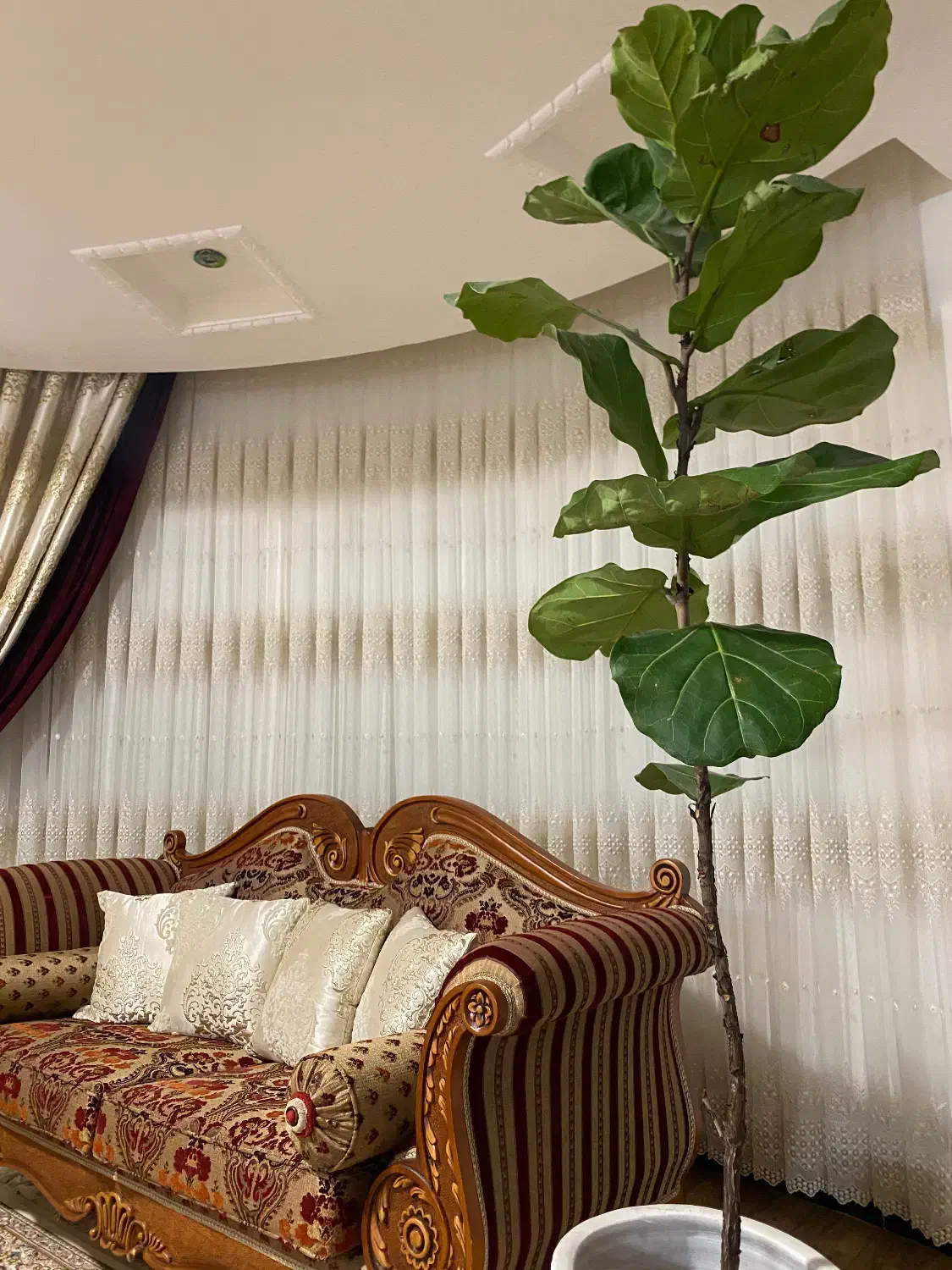 دکوراسیون داخلی|پرده، رانر، رومیزی|ساری, |دیوار