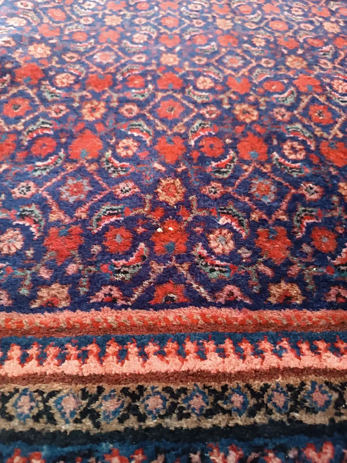 فرش دستباف|فرش|شاهدشهر, |دیوار