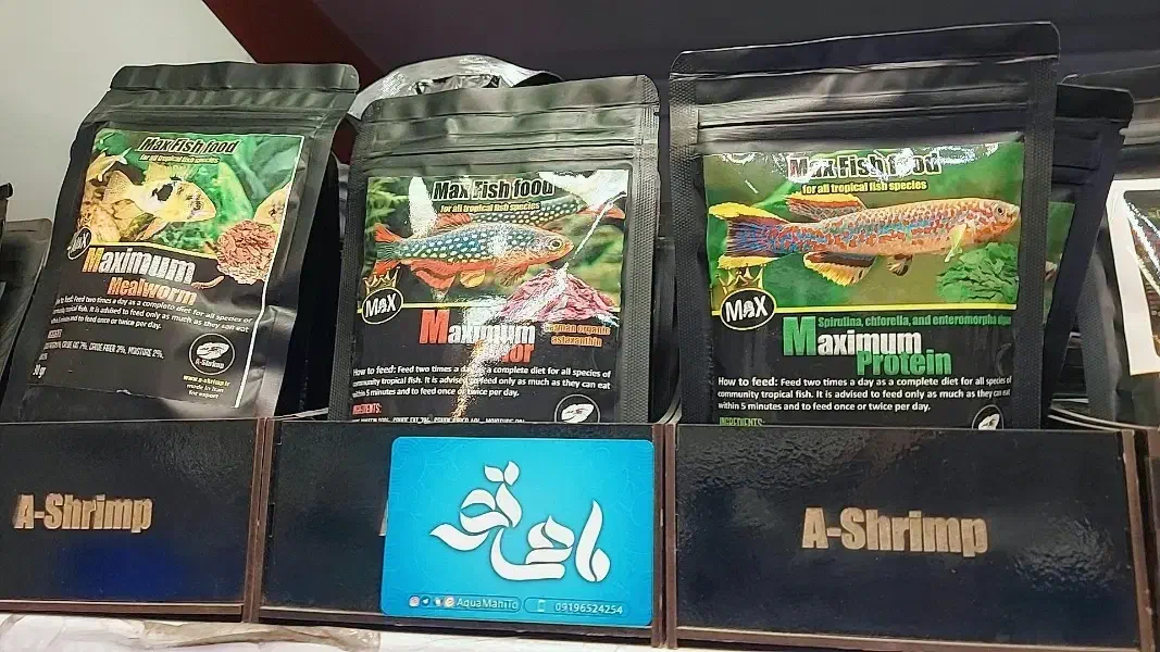 غذای ماهی درجه یک ای شریمپ|ماهی|قم, حاج خلیل|دیوار