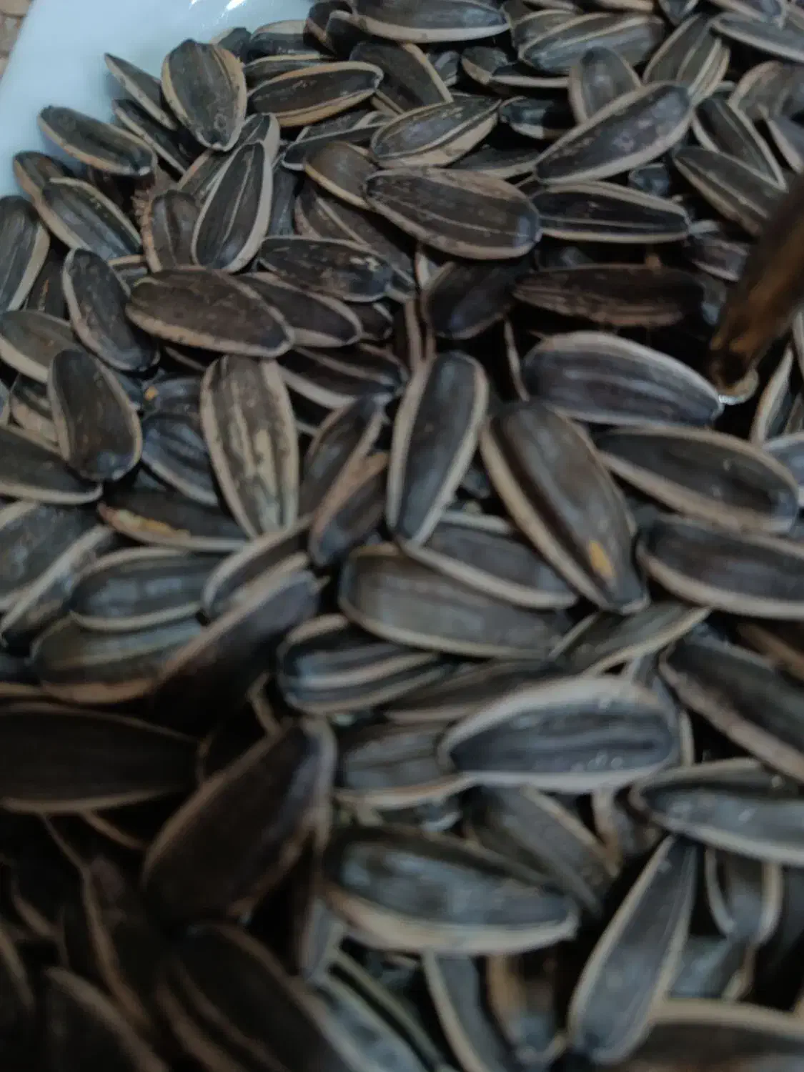 تخمه ارگانیک|خوردنی و آشامیدنی|دهگلان, |دیوار