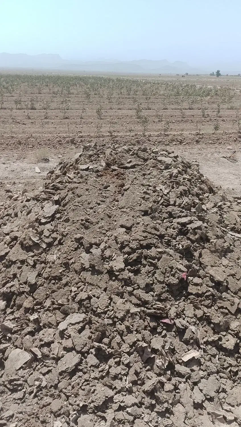 فروش کود عمده سالنی|عمدهفروشی|اصفهان, گورت|دیوار