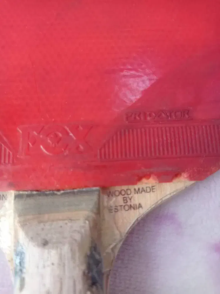 راکت پینگ پونگ فوکس اصلی|ورزش‌های توپی|شیراز, شریف‌آباد|دیوار