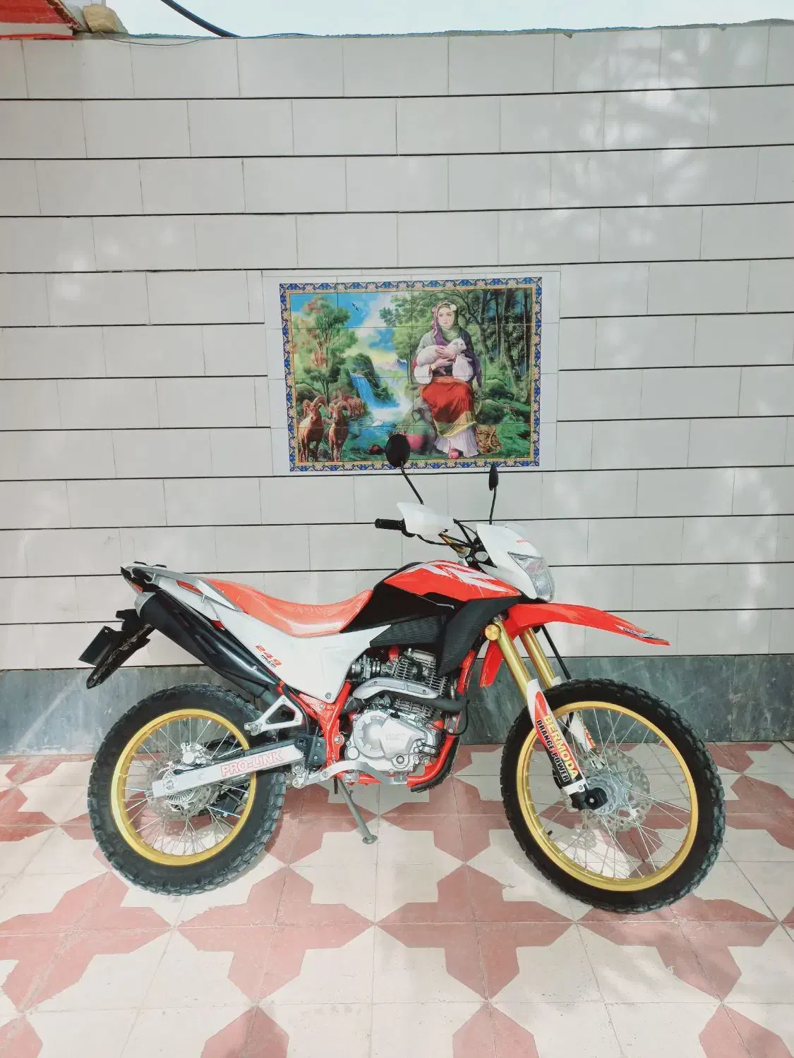 تریل برمودا ۲۵۰|موتورسیکلت|شیراز, گل سرخ|دیوار