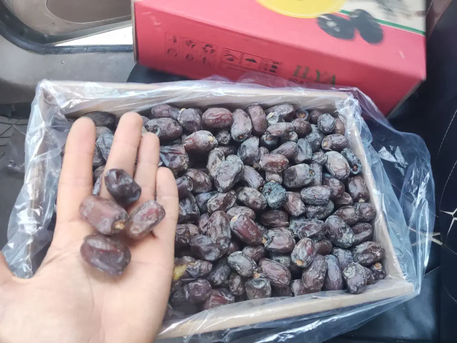 ۴تن خرما کلوته جیرفت درجه یک صادراتی|خوردنی و آشامیدنی|جیرفت, |دیوار