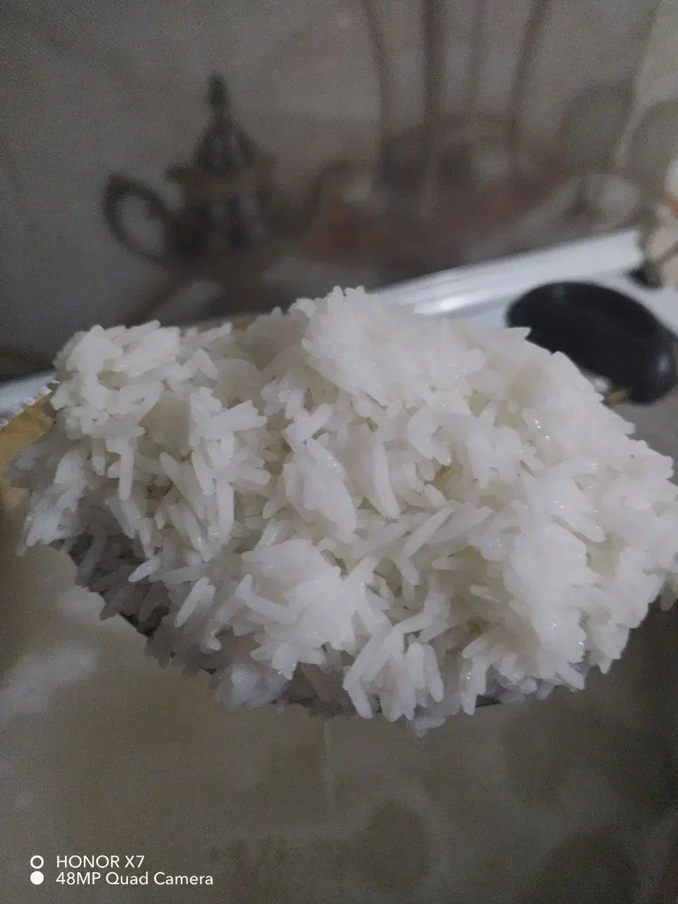 برنج فجر سوزنی ایرانی|خوردنی و آشامیدنی|پاکدشت, پاکدشت (مامازند)|دیوار