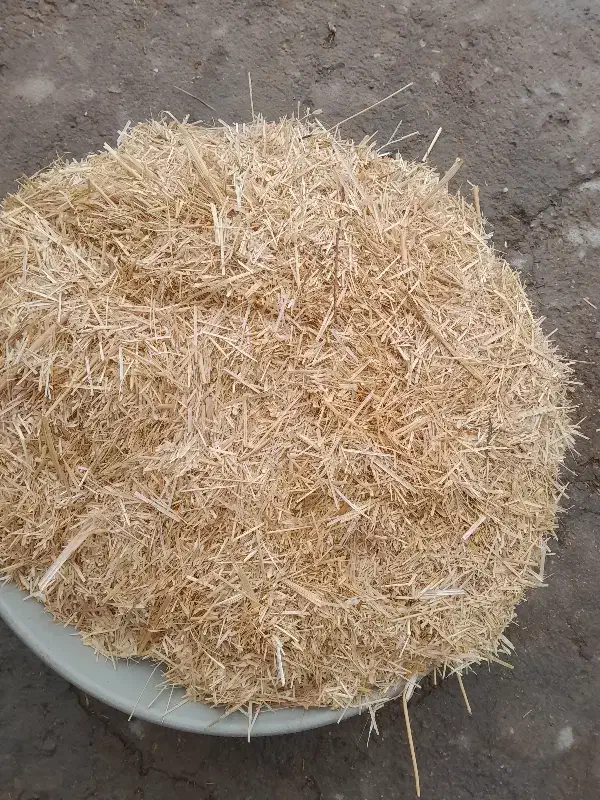 کاه گندم|لوازم جانبی حیوانات|سیروان, |دیوار