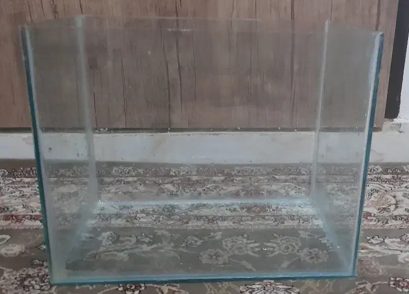 آکواریوم فروش فوری|ماهی|قدس, شهر‌قدس|دیوار