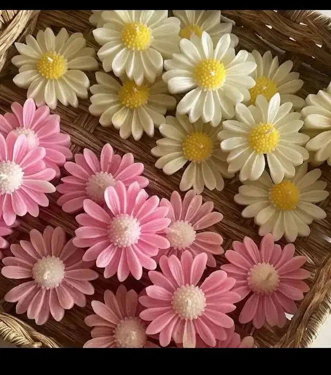 گل شمعی نیمه شعبان|گل مصنوعی|مشهد, سرافرازان|دیوار