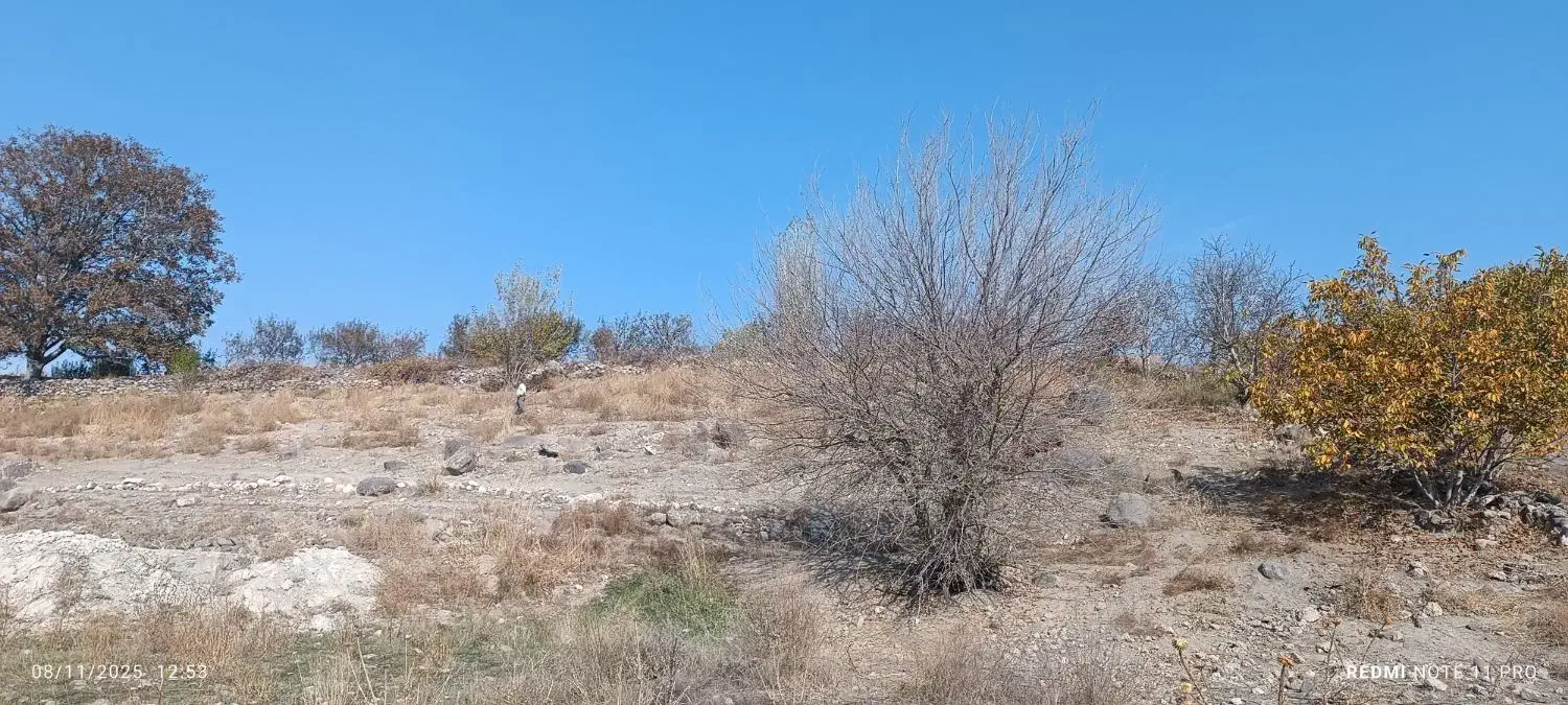 باغ|فروش زمین و ملک کلنگی|مشگین شهر, |دیوار