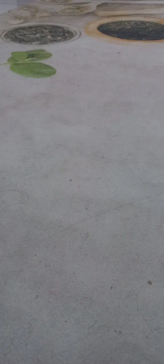 گلیم فرش و فرش اشپزخانه|فرش|محمدشهر, همایون ویلا|دیوار