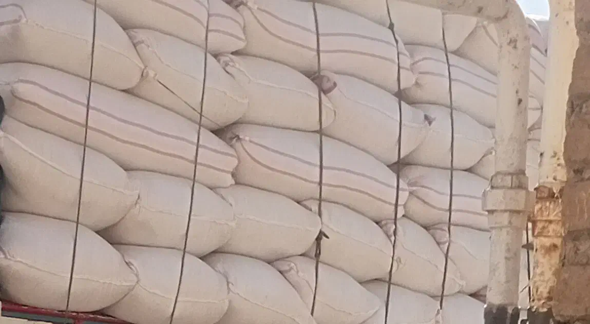 کاه کندم|خدمات باغبانی و درختکاری|رفسنجان, |دیوار