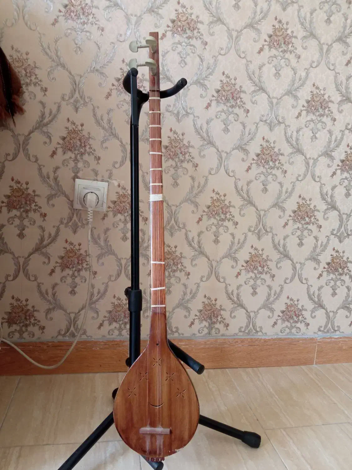 چهارتار|سازهای سنتی|کرج, ساسانی (قلمستان)|دیوار