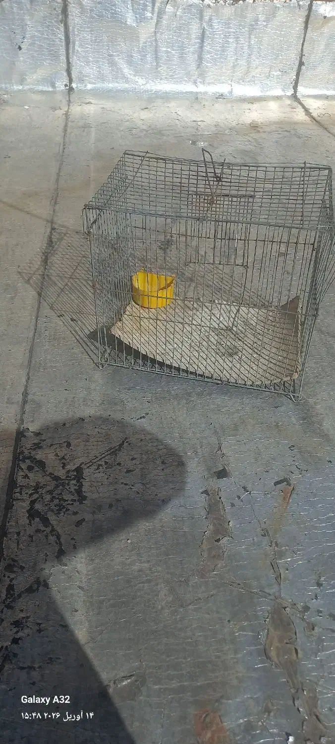 قفس|لوازم جانبی حیوانات|کرمانشاه, |دیوار