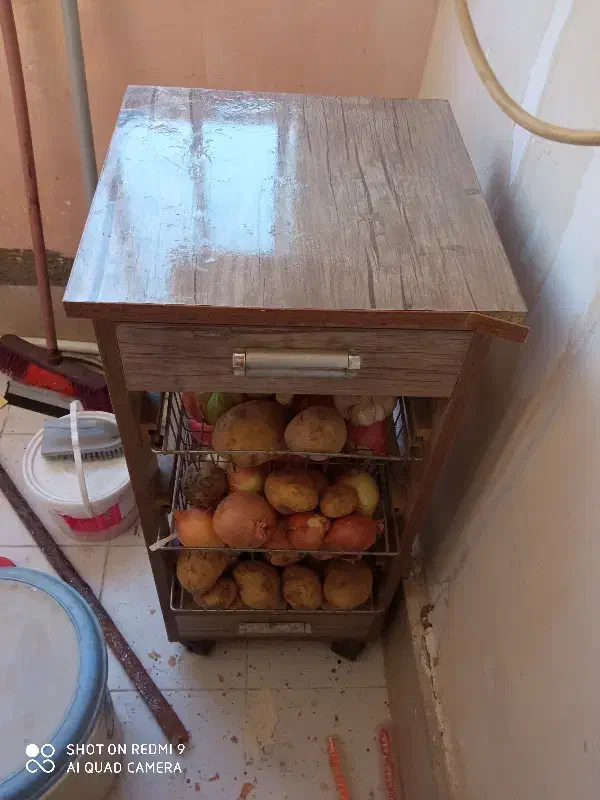 سبد|کتابخانه، شلف، قفسههای دیواری|مشهد, الهیه|دیوار