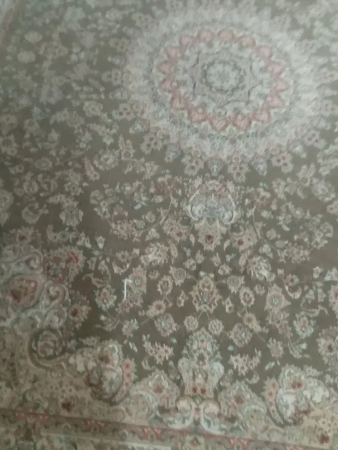 فرش ماشینی ۱۵۰۰شانه|فرش|تهران, فلسطین (میدان انقلاب)|دیوار