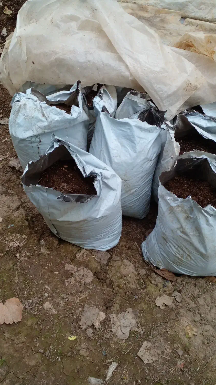 کود حیوانی|خدمات باغبانی و درختکاری|لنگرود, |دیوار