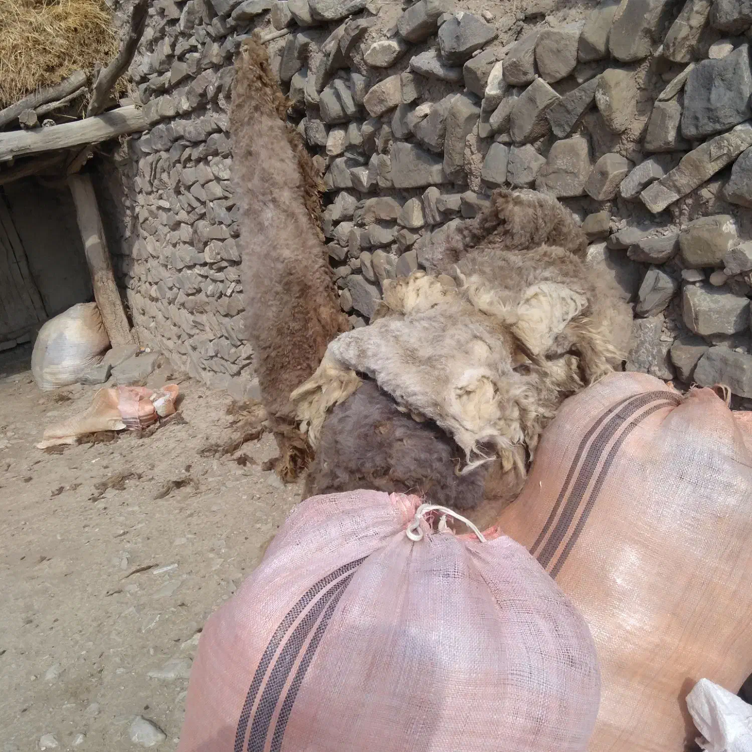 پشم|رختخواب، بالش، پتو|خواجه, |دیوار