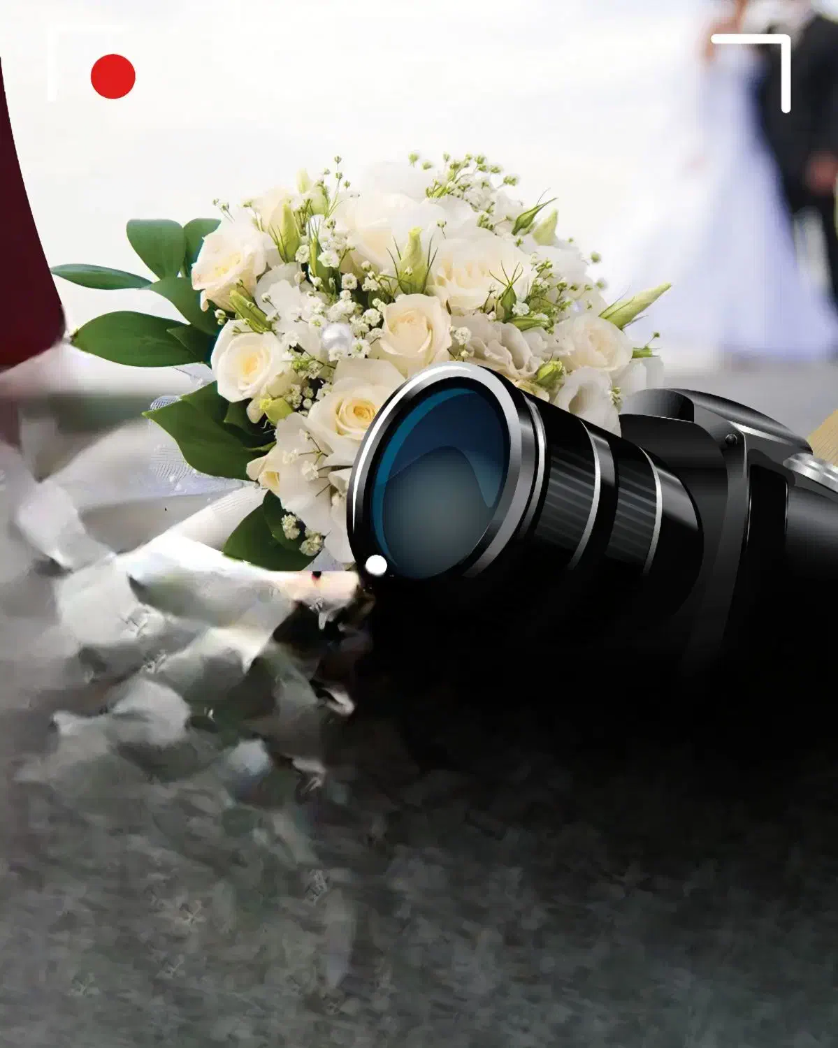 فیلم و عکس برداری ژست|دوربین عکاسی و فیلم‌برداری|بندرعباس, |دیوار