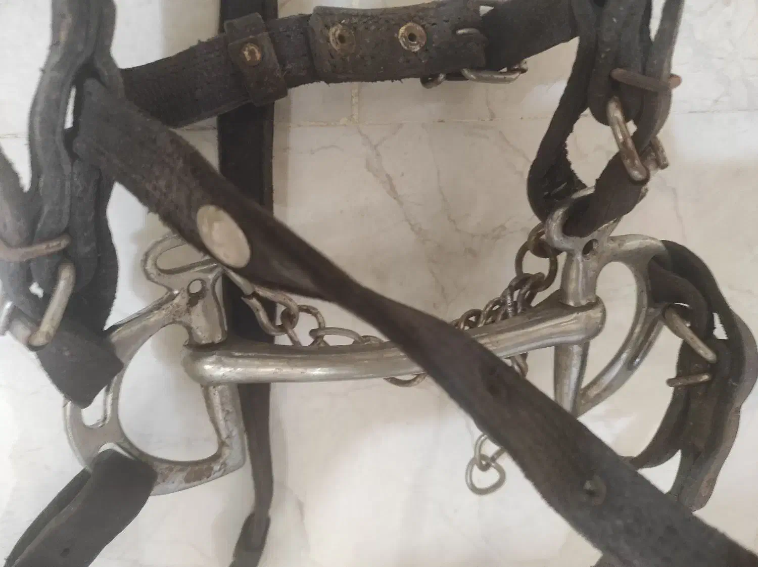 دهنه اسب زیبا وچرم مرغوب|اسب و تجهیزات اسبسواری|قزوین, |دیوار