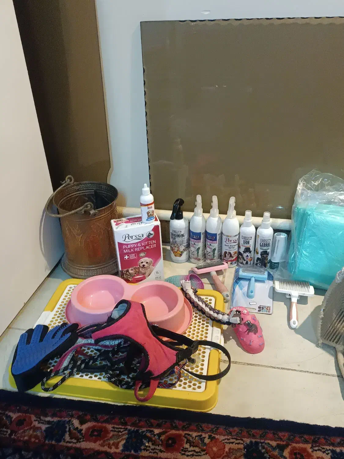 سگ خوشگل|سگ|پاکدشت, شهرک امام رضا|دیوار