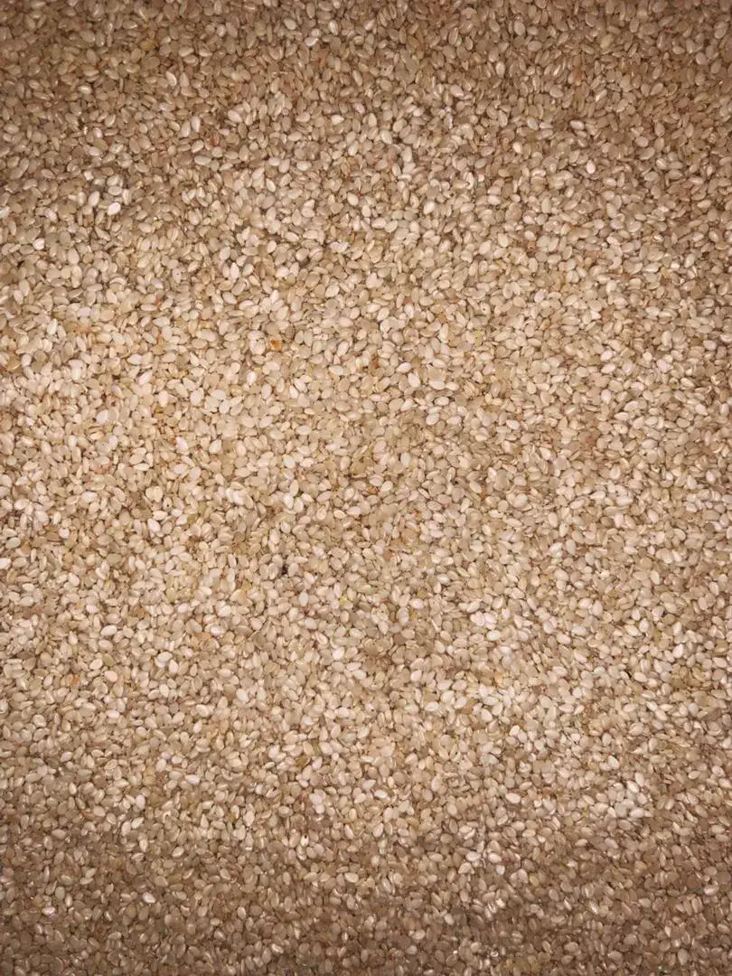 خشکبار|خوردنی و آشامیدنی|قم, جوی شور|دیوار