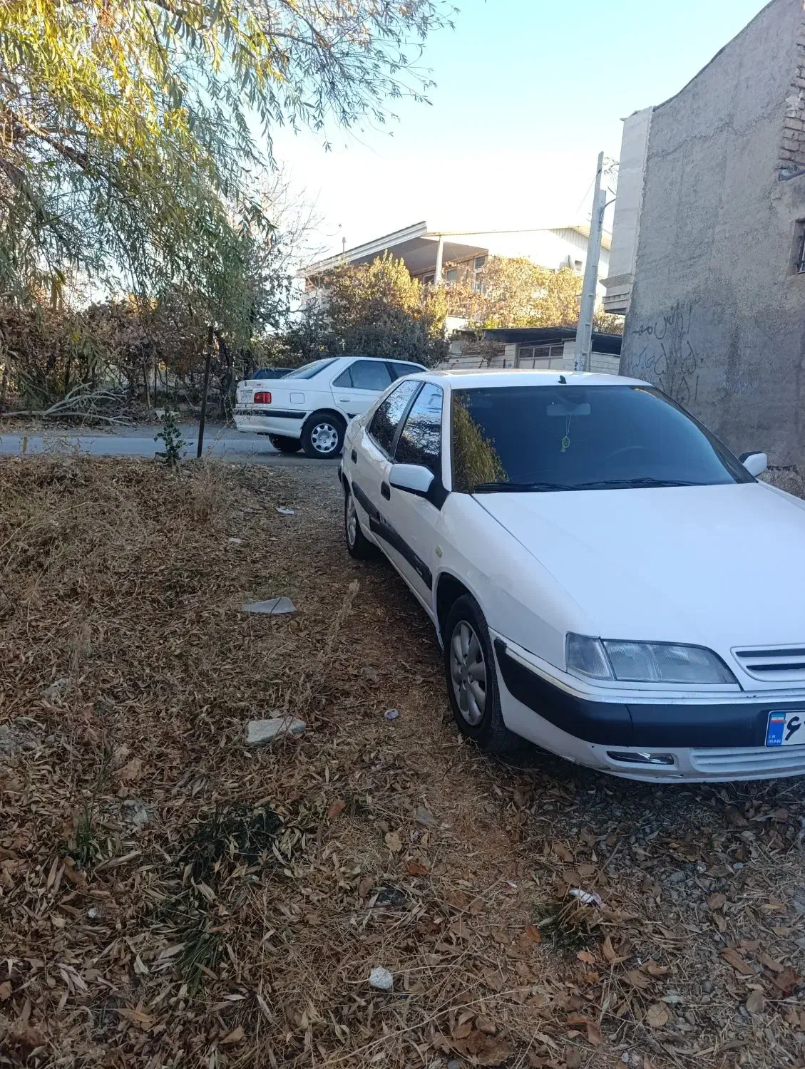 زانتیا مدل 86|خودرو سواری و وانت|رزن, |دیوار