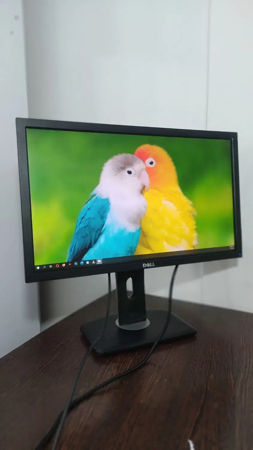 مانیتور dell 24 led فول اچ دی|قطعات و لوازم جانبی رایانه|شیراز, زند|دیوار