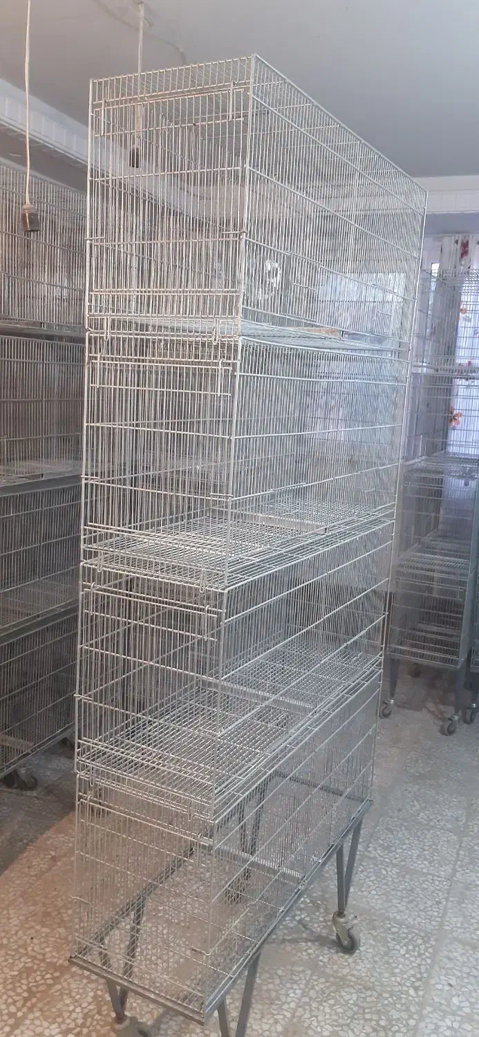 هشتخون غلامی یک متری|لوازم جانبی حیوانات|پردیس, فاز ۴|دیوار