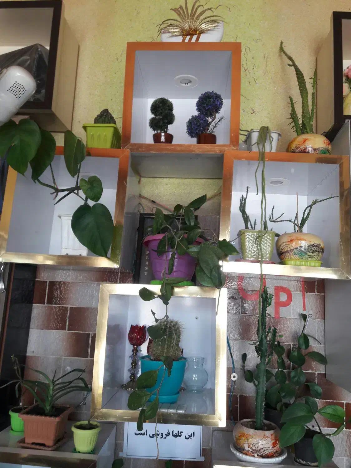 باکس هر کدوم ۲۰۰ ت|کتابخانه، شلف، قفسه‌های دیواری|اهر, |دیوار