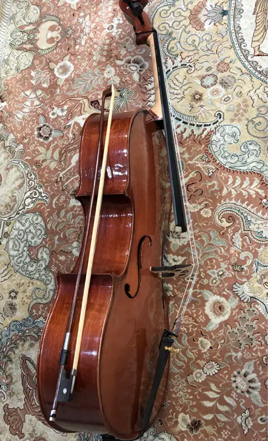 ویولنسل / ویالون سل|ویولن|شیراز, آزادگان|دیوار