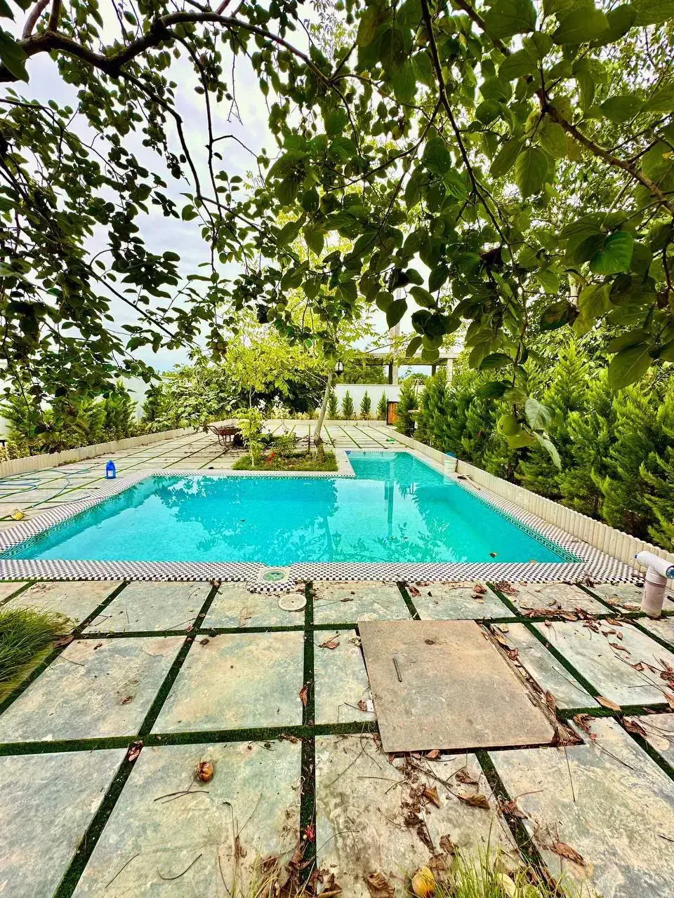 ی ویلا لاکچری جذاب/430زمین/فول فرنیش/استخردار|فروش خانه و ویلا|امامزاده عبدالله, |دیوار