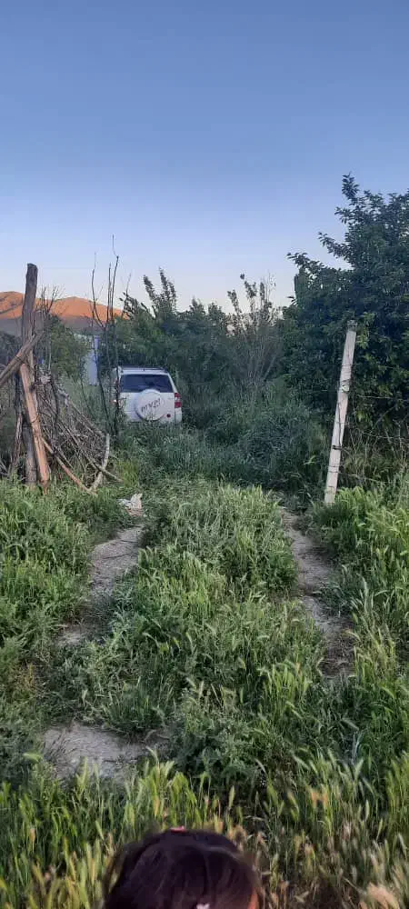 باغ ۱۰ ساله مثمر بر اتوبان تهران|فروش دفتر صنعتی، کشاورزی، تجاری|کرمانشاه, |دیوار