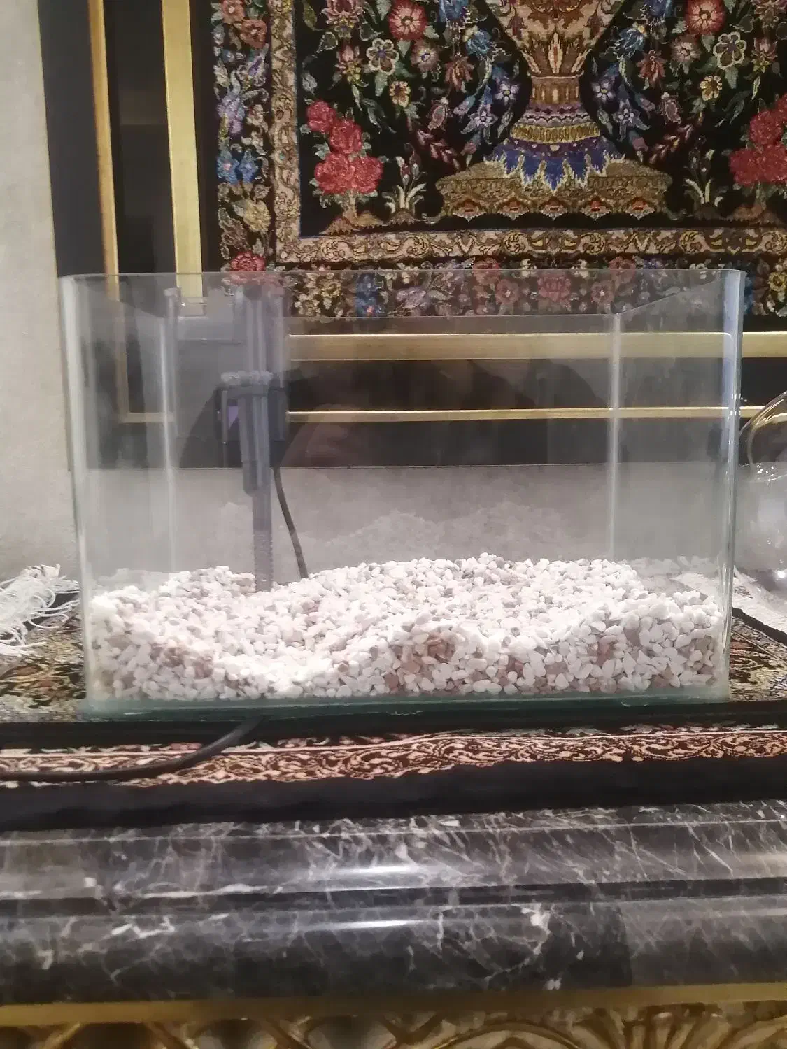 آکواریوم با پمپ|ماهی|قم, پردیسان|دیوار