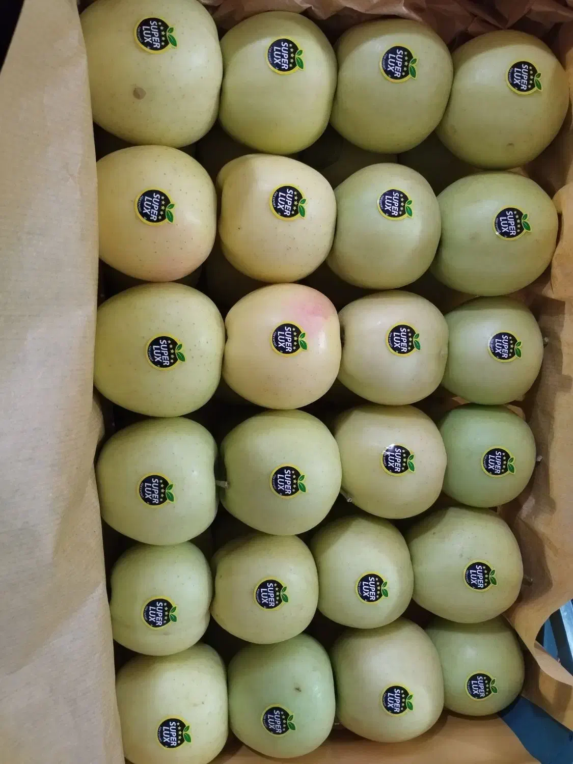 سیب درجه یک قرمز و سفید|عمدهفروشی|انگوران, |دیوار