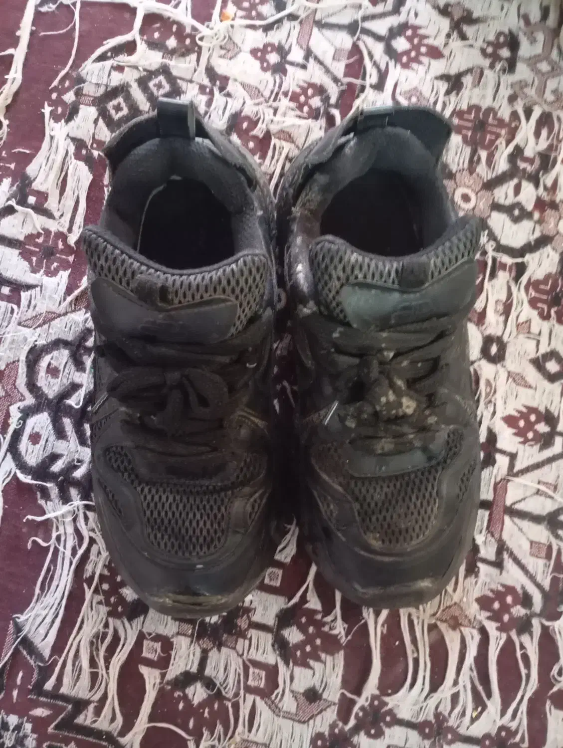 کتونی کارکرده|کیف، کفش، کمربند|قم, حنیف نژاد|دیوار