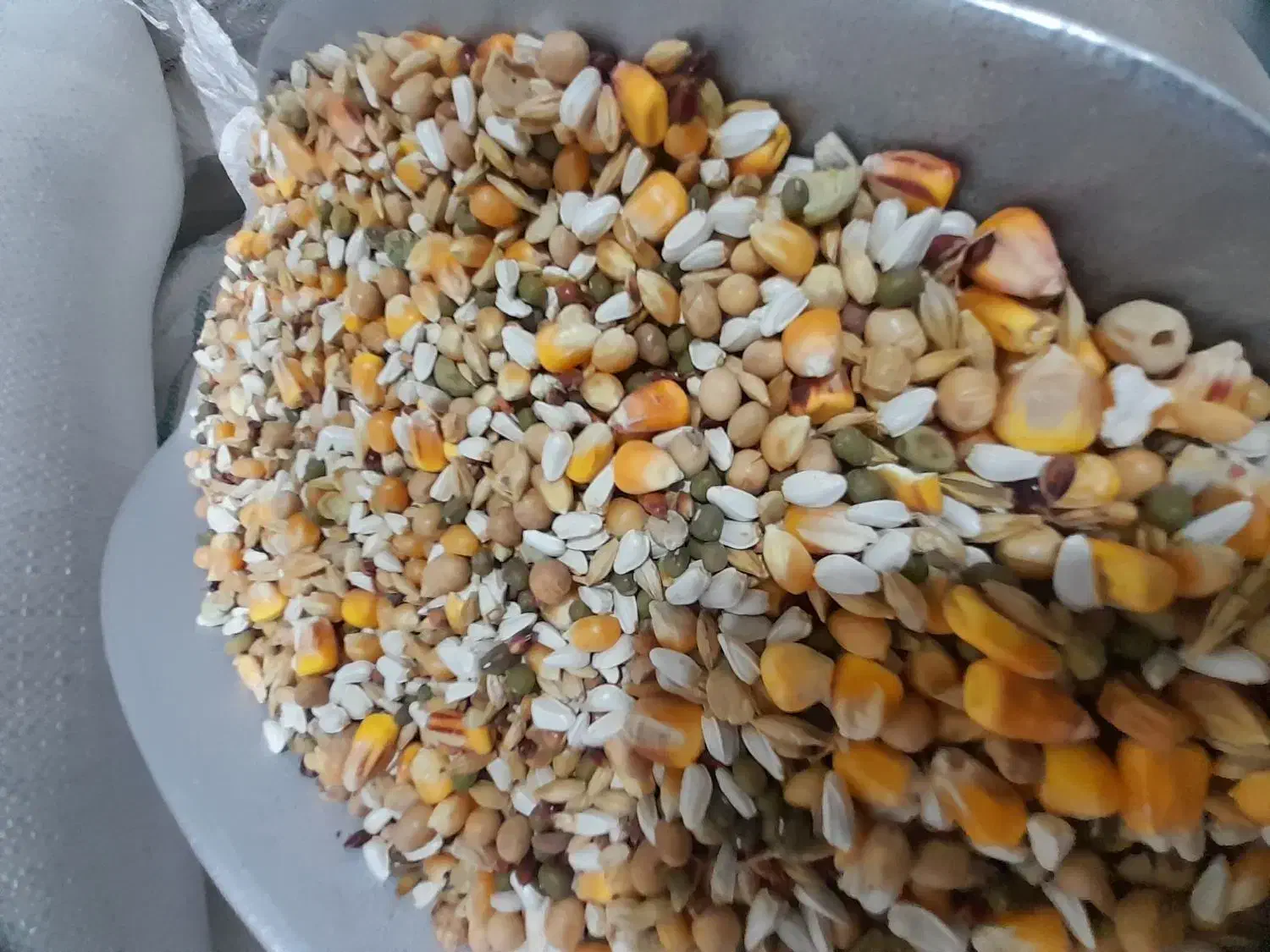 مسیر اردبیل|خدمات حمل و نقل|سرخنکلاته, |دیوار